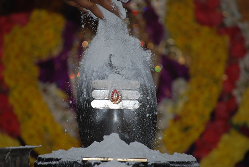 The Hindu devotees make a paste by mixing vibhuhti with water and apply it as three horizontal lines across the forehead and other parts of the body to please Lord Shiva. Vibhuthi smeared across the forehead to the end of both eyebrows is called Tripundra.